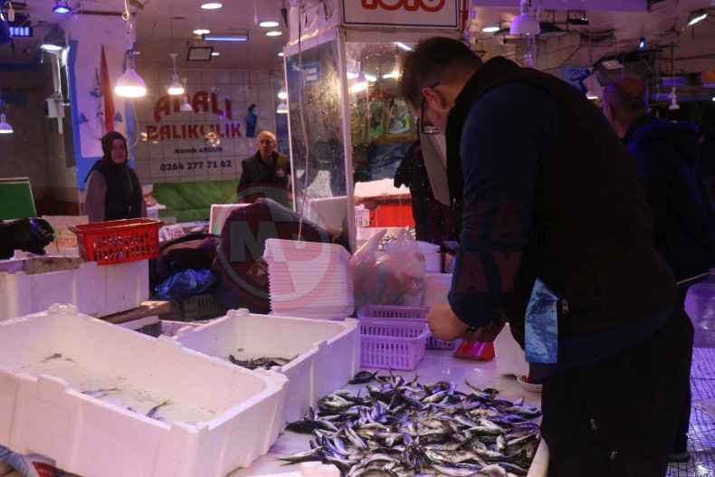 Sakarya Istavrit Bollugu (1)