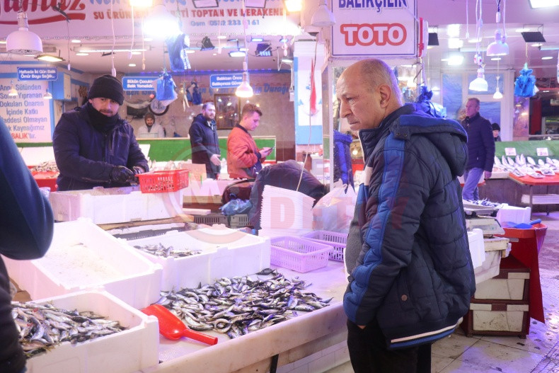 Sakarya Istavrit Bollugu (3)