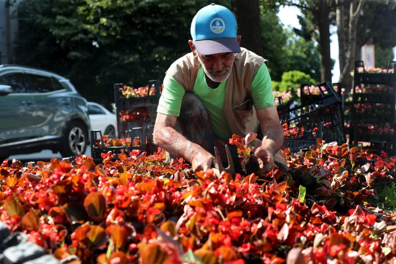 Sakarya Yesil Ve Yasam Alanlari Artiyor (9)