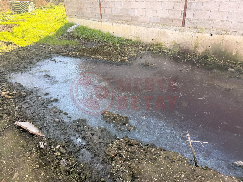 Tavuk Ciftlikleri Denetlendi5