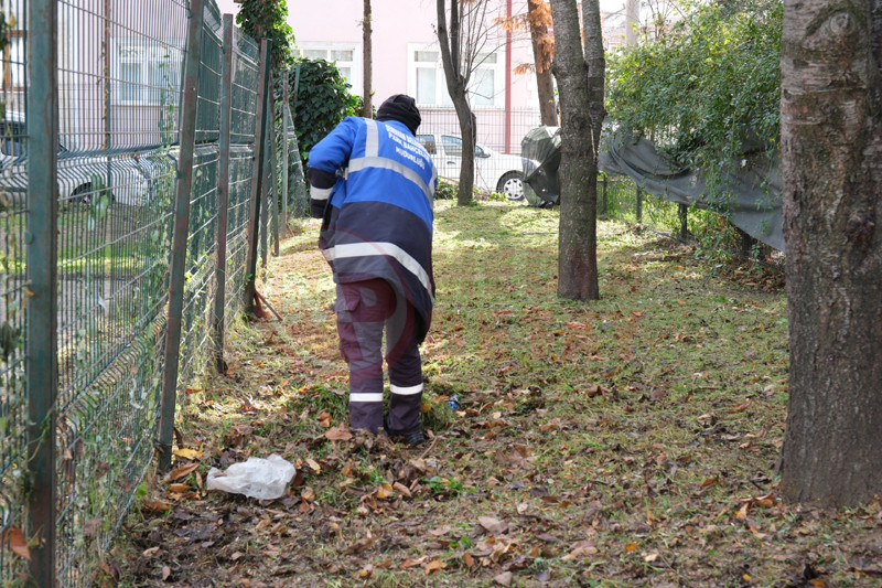 Yesil Alan Temizlik3