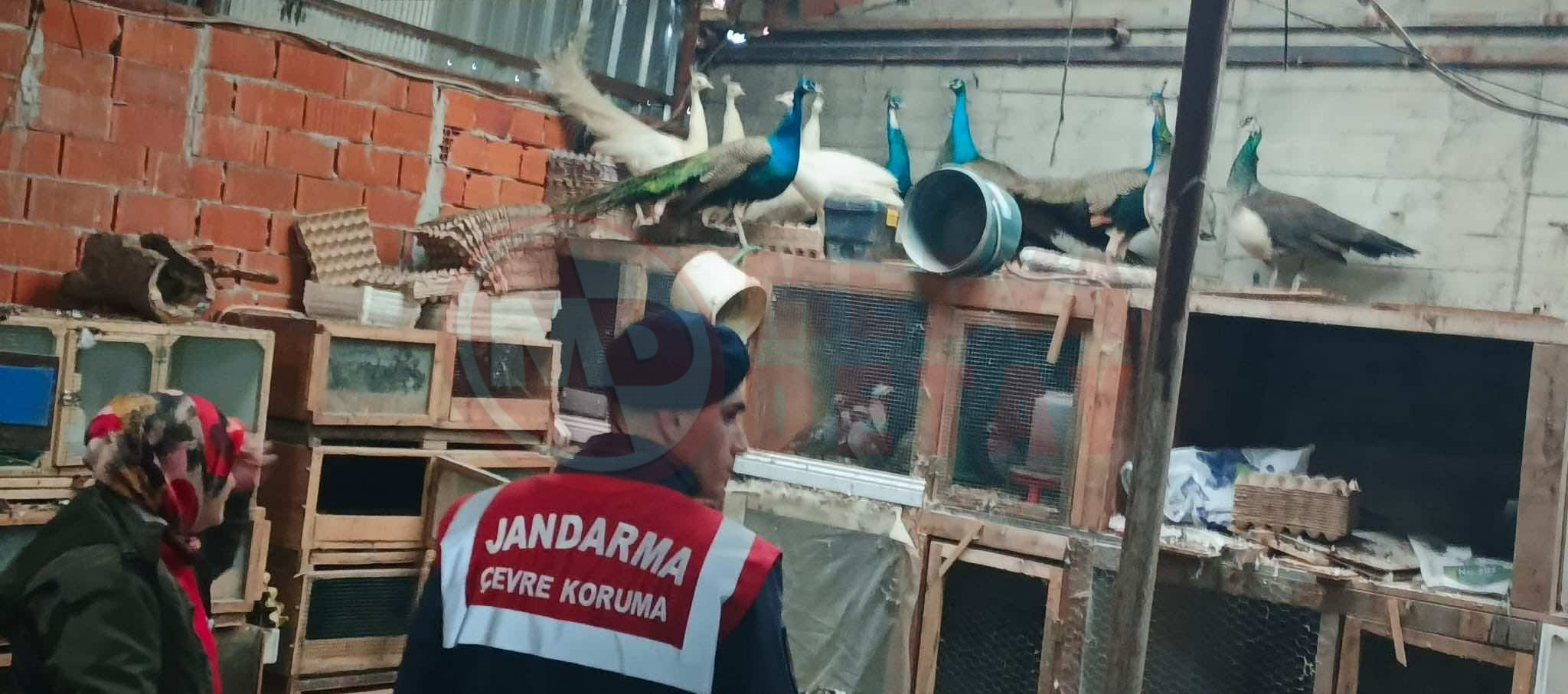 Whatsapp Image 2026 02 06 At 17.18.36 (1)