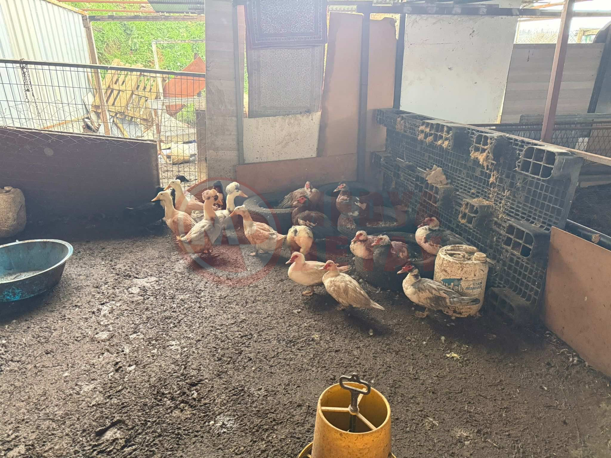 Whatsapp Image 2026 02 06 At 17.18.37