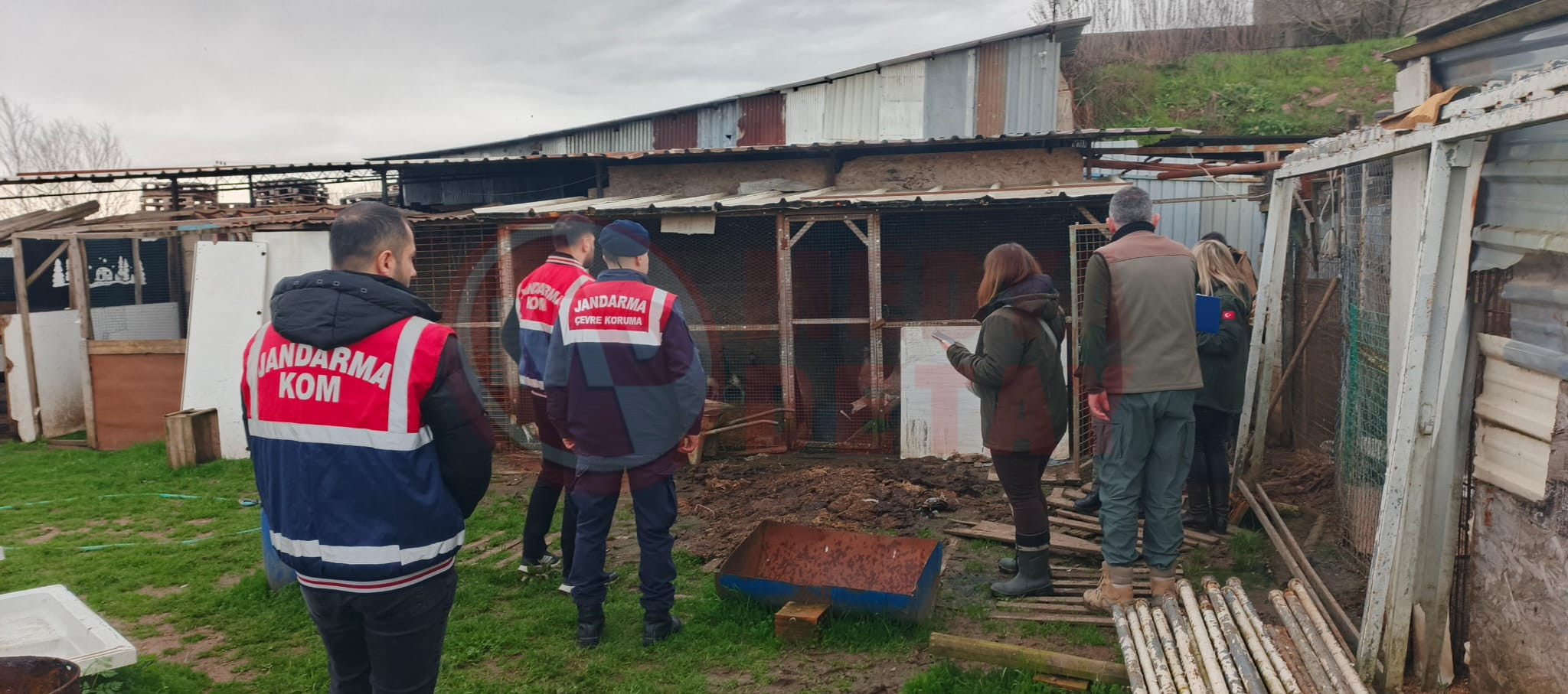 Whatsapp Image 2026 02 06 At 17.18.38