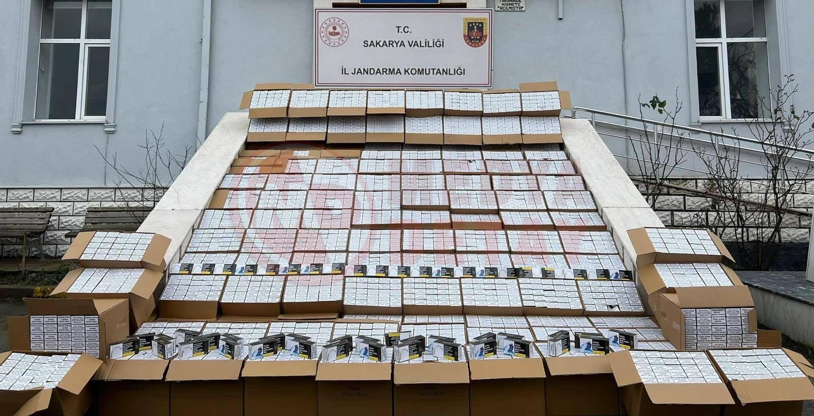 Whatsapp Image 2026 02 12 At 10.28.15