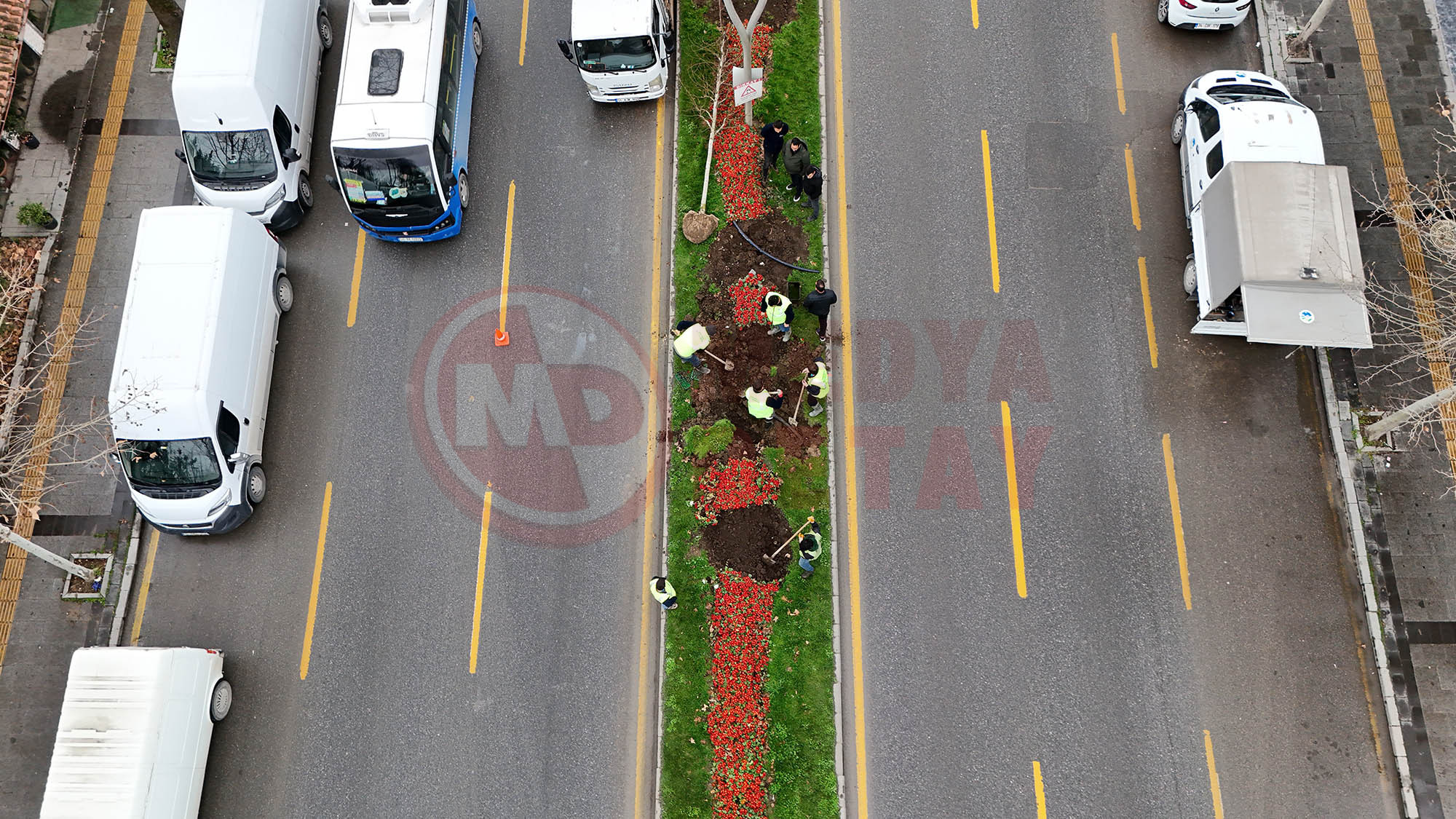 Yeşi̇l Şehi̇r (1)