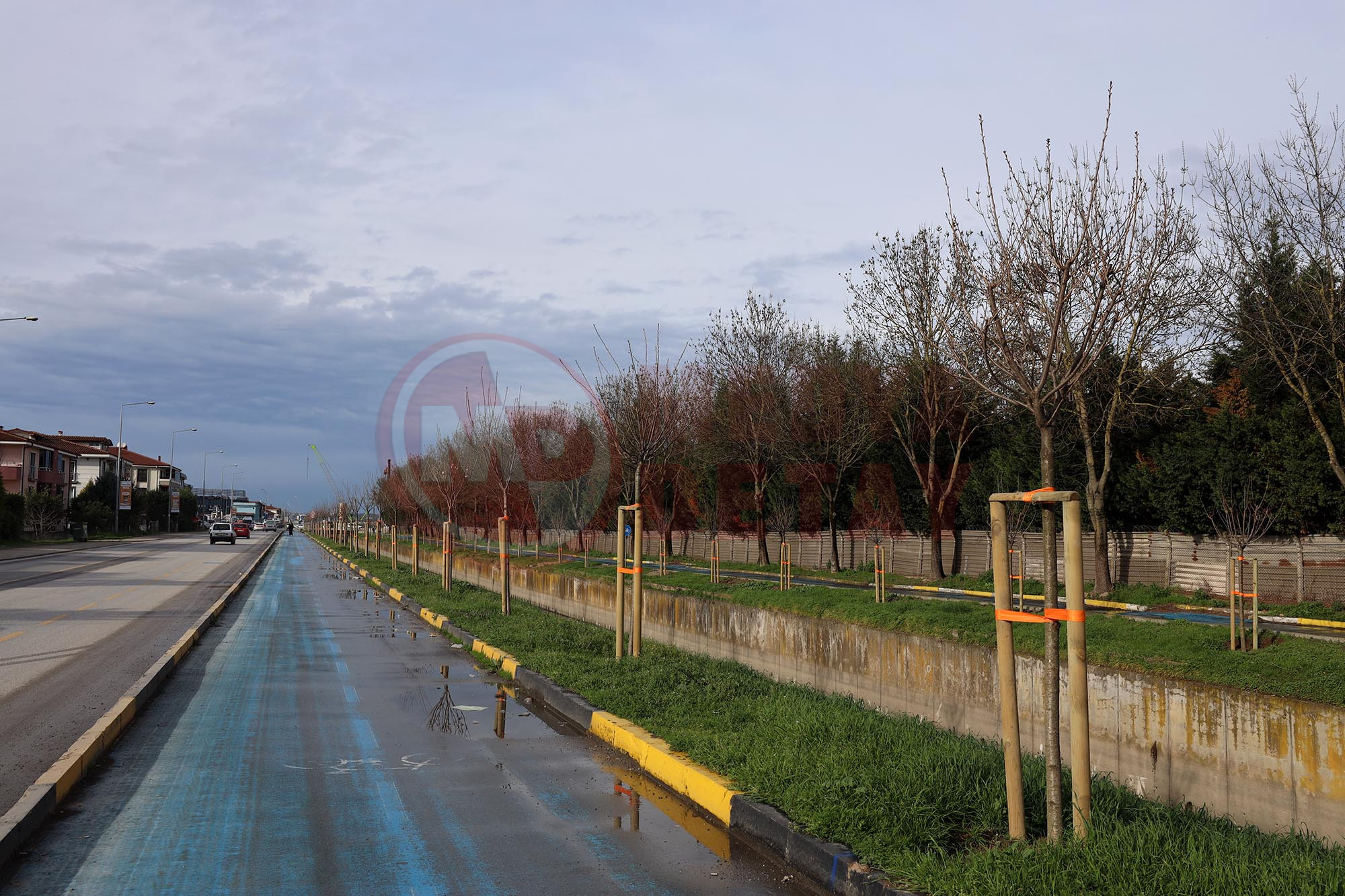 Yeşi̇l Şehi̇r (10)