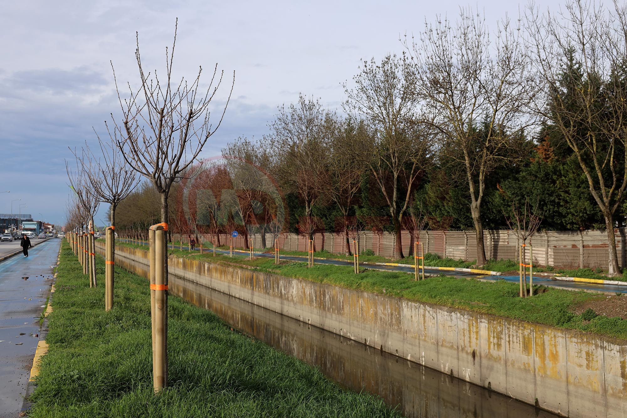 Yeşi̇l Şehi̇r (12)