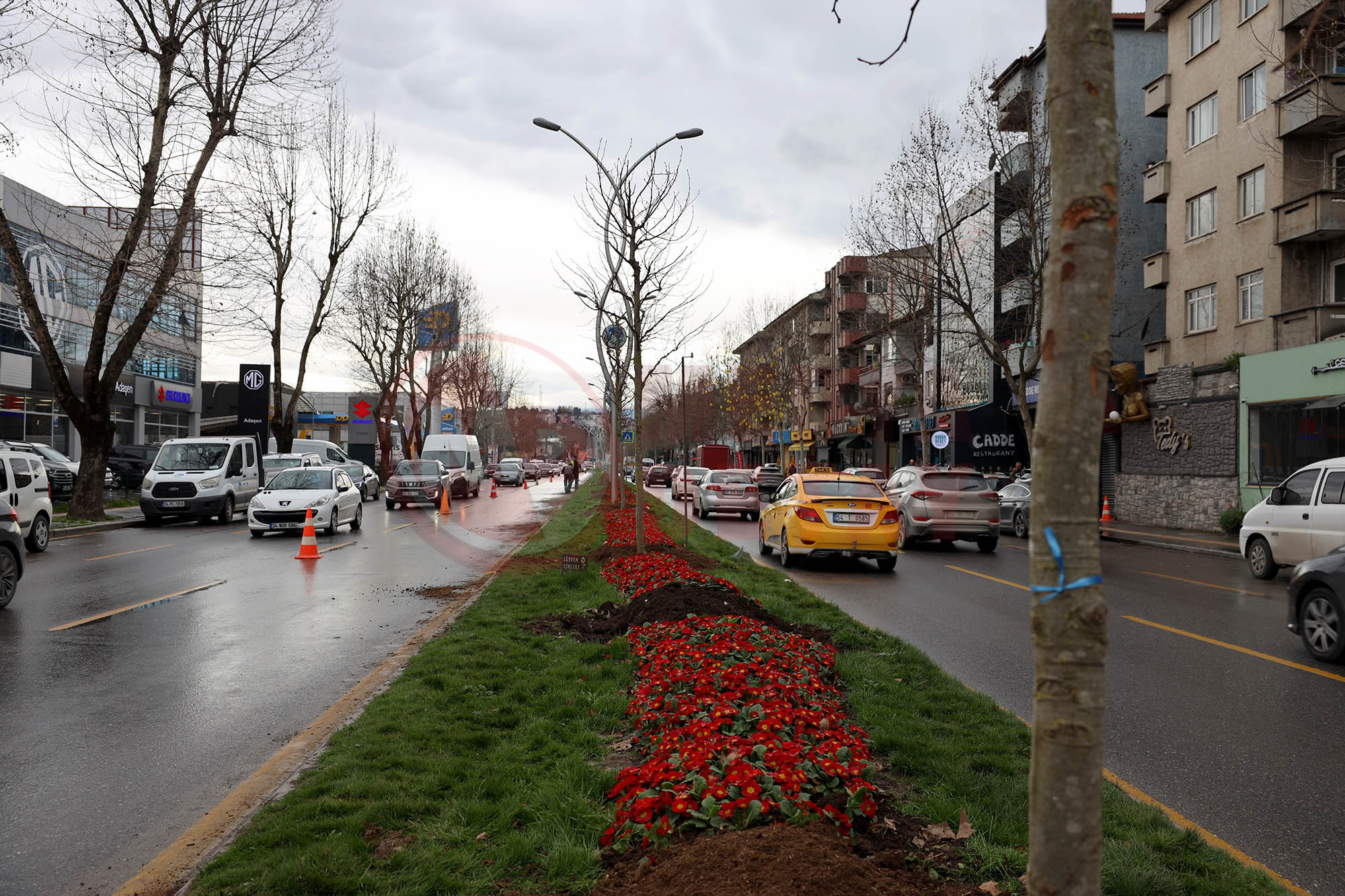 Yeşi̇l Şehi̇r (3)