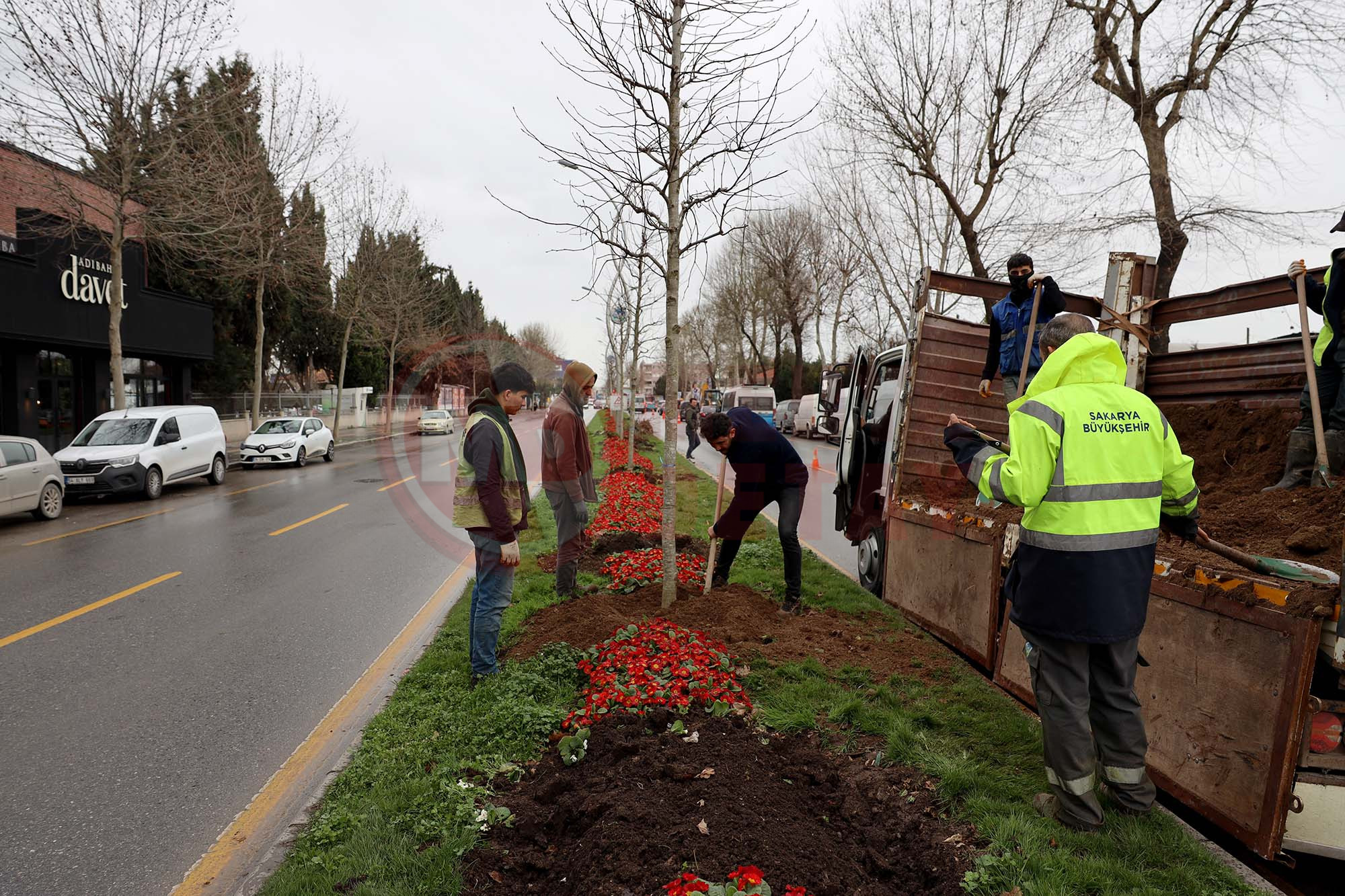 Yeşi̇l Şehi̇r (4)