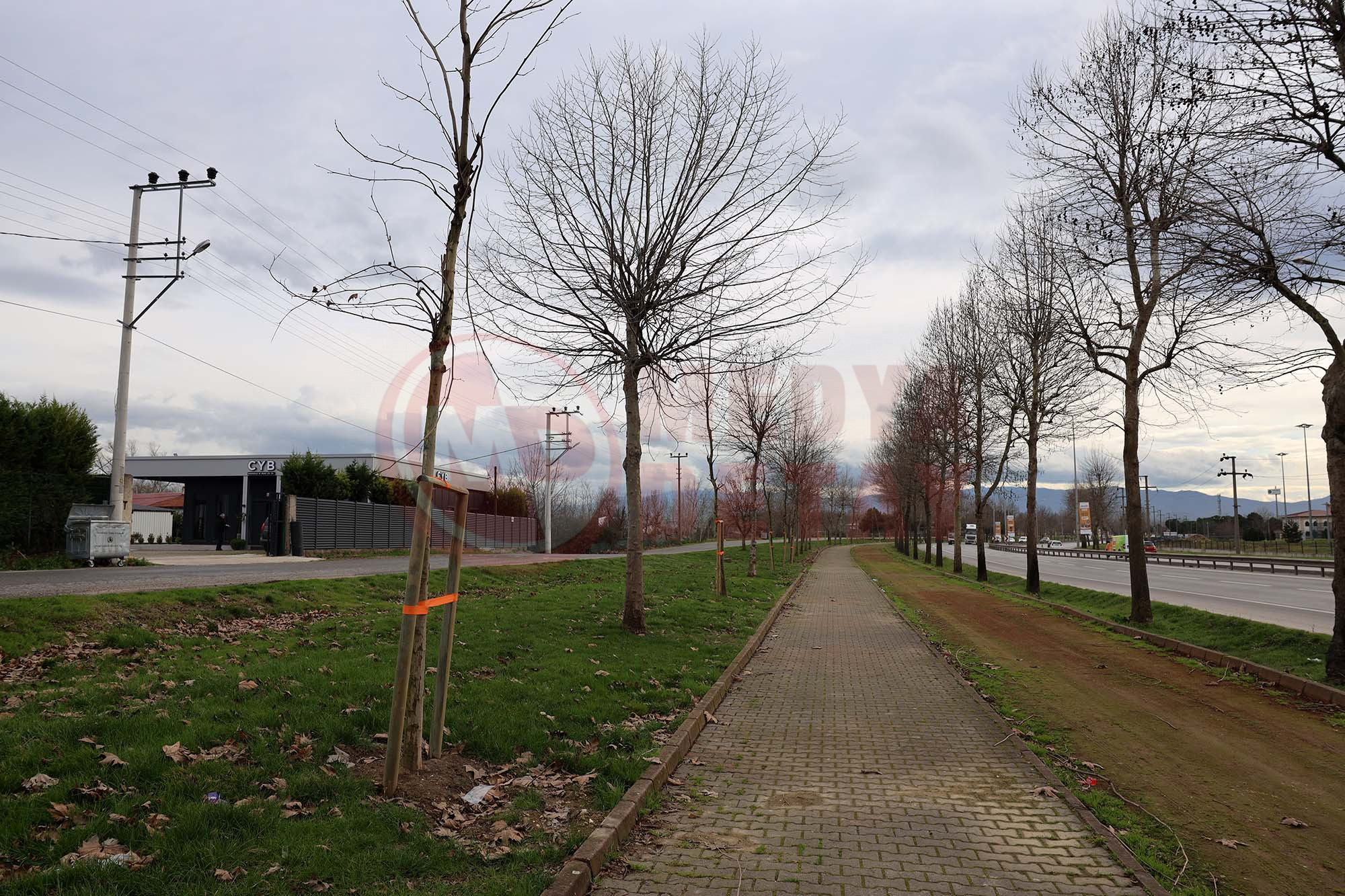 Yeşi̇l Şehi̇r (8)