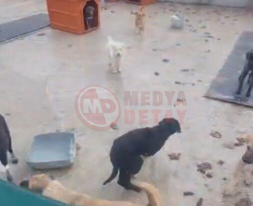 Barinak Goruntuleriyle Ilgili Islem Baslatildi (1)