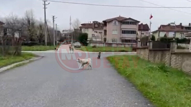 Hendek Belediyesi Issiz Birakti