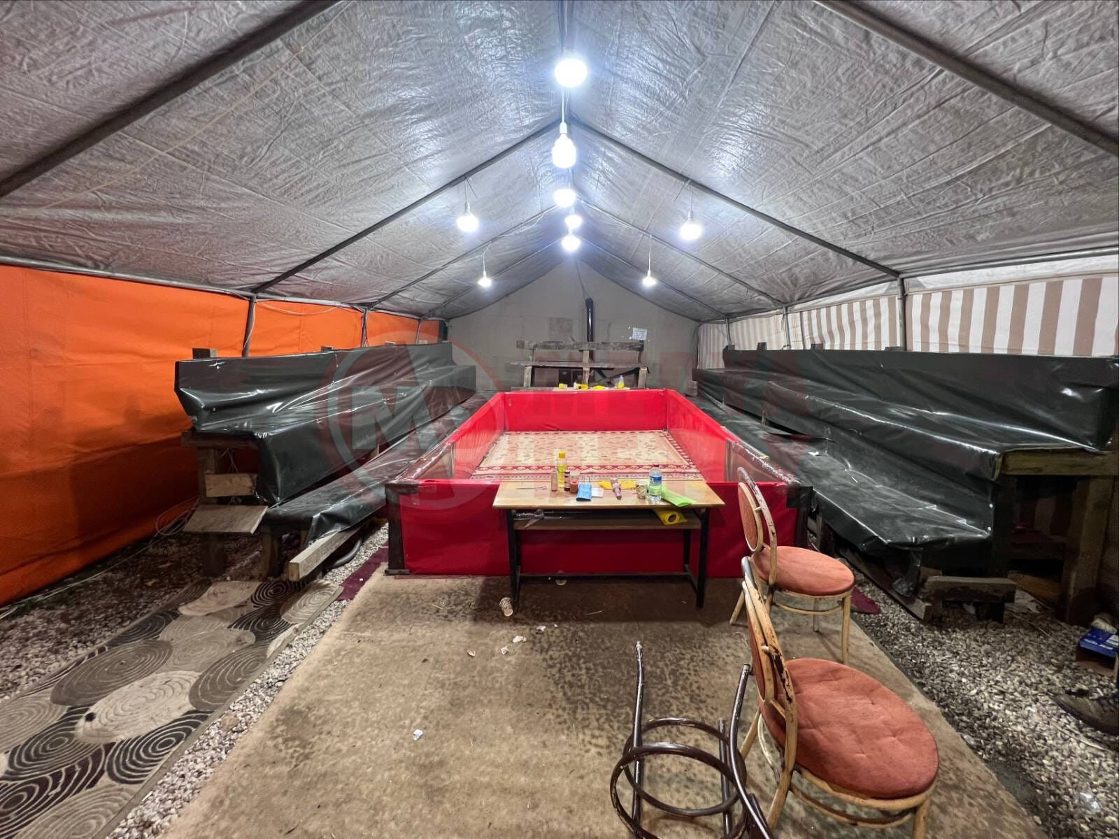 Whatsapp Image 2026 03 17 At 12.24.40 (1)