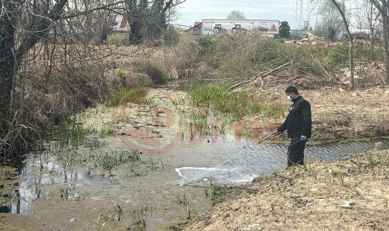 Erenler Larva Mucadele1