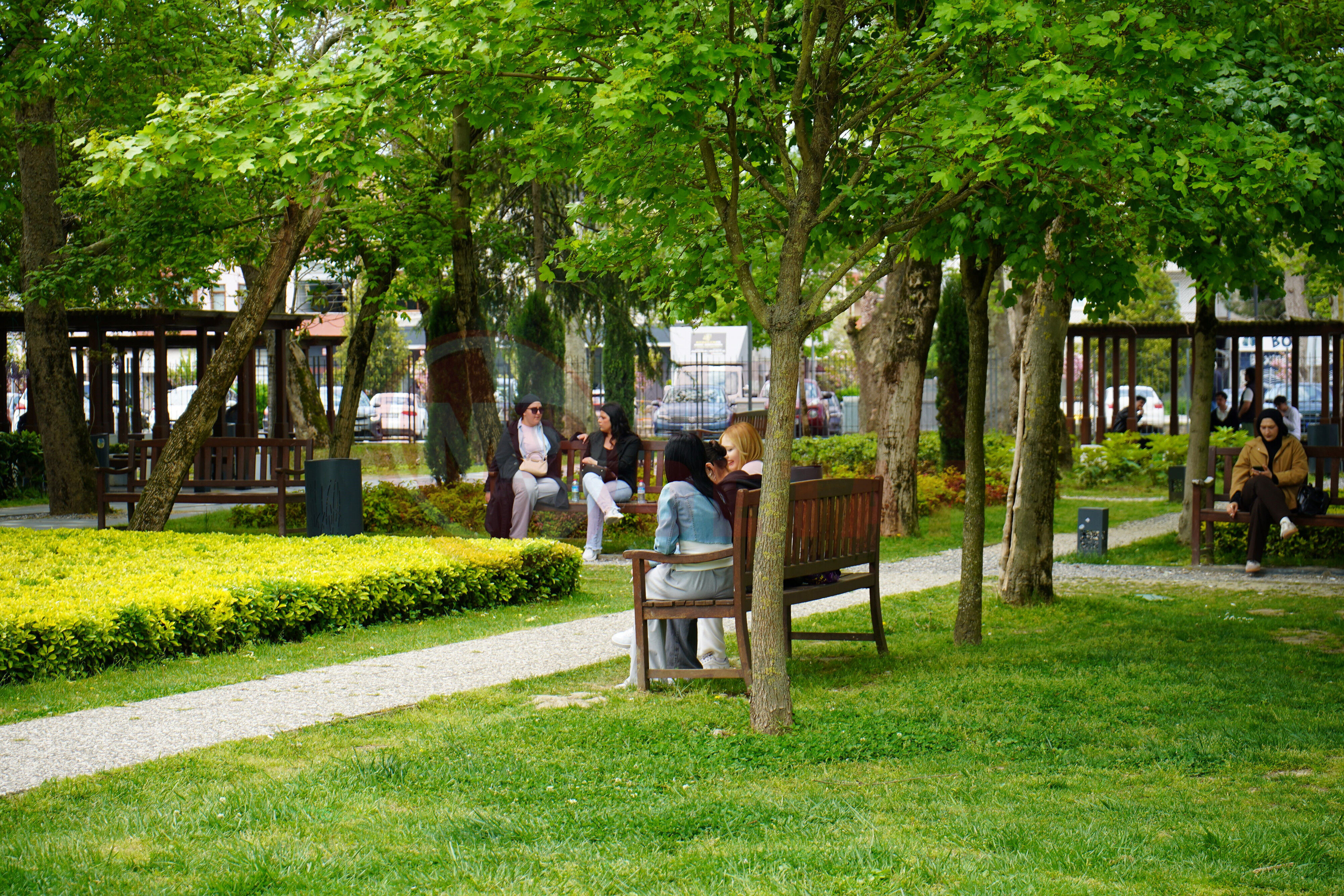 Hava (2)