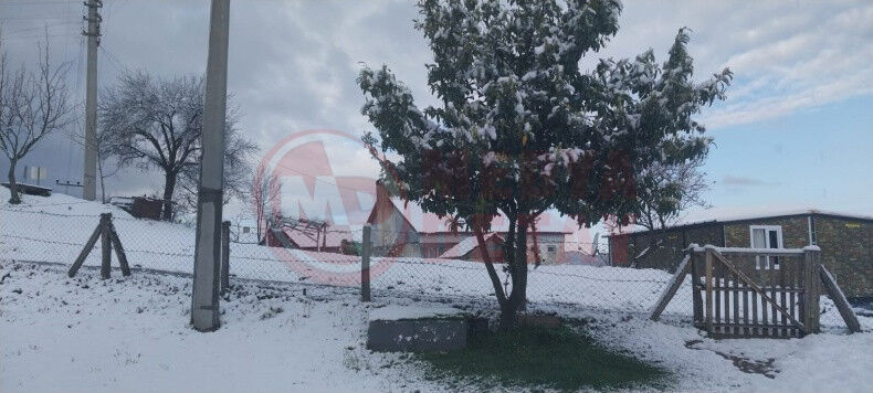 Nisanda Sakaryaya Kar Yagdi