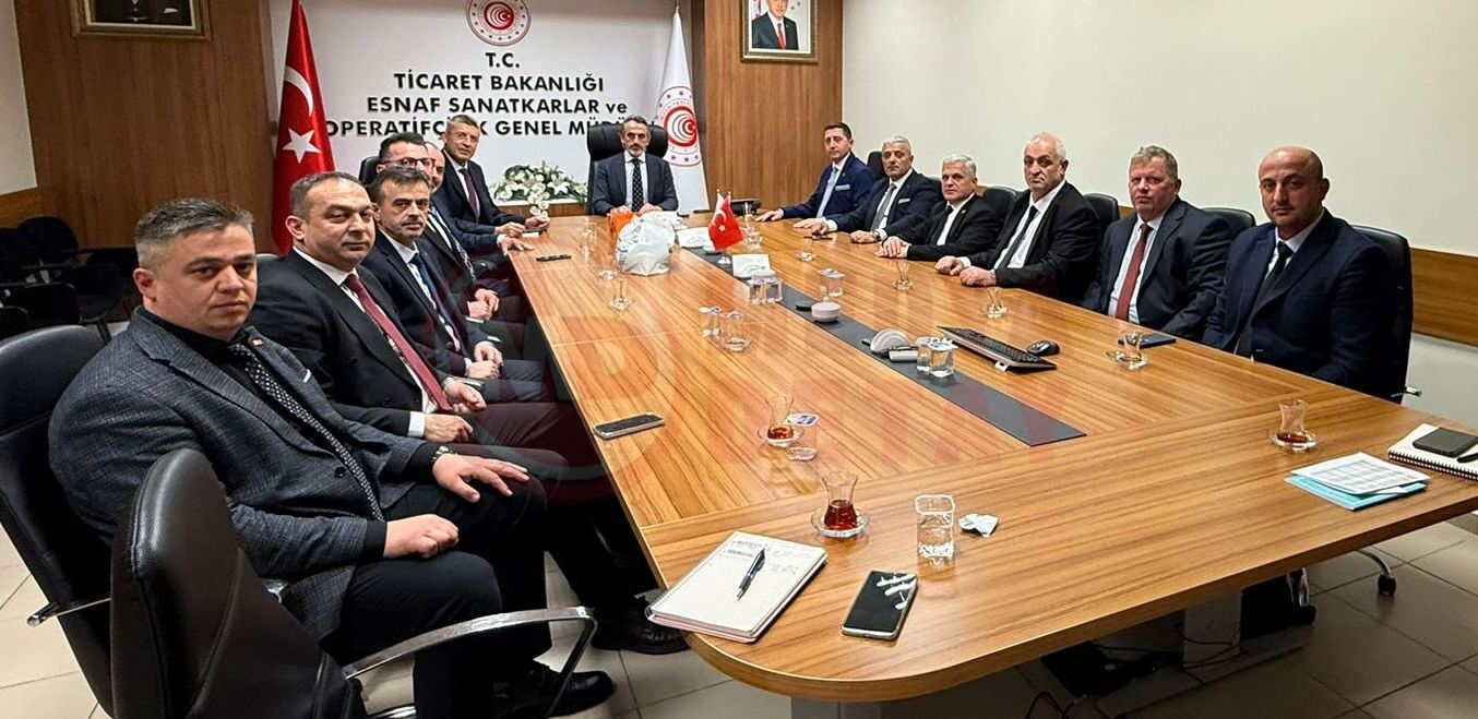 Taha Enes Şener (2)