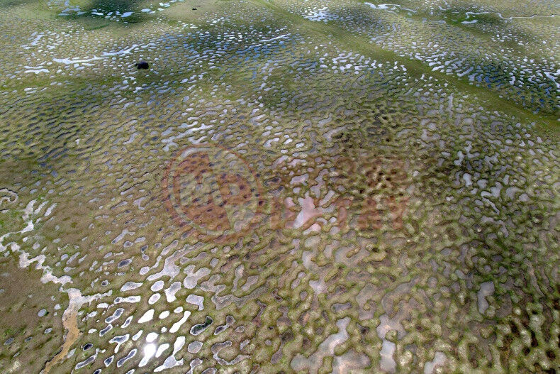 Tarakli Karagol Yaylasi (2)