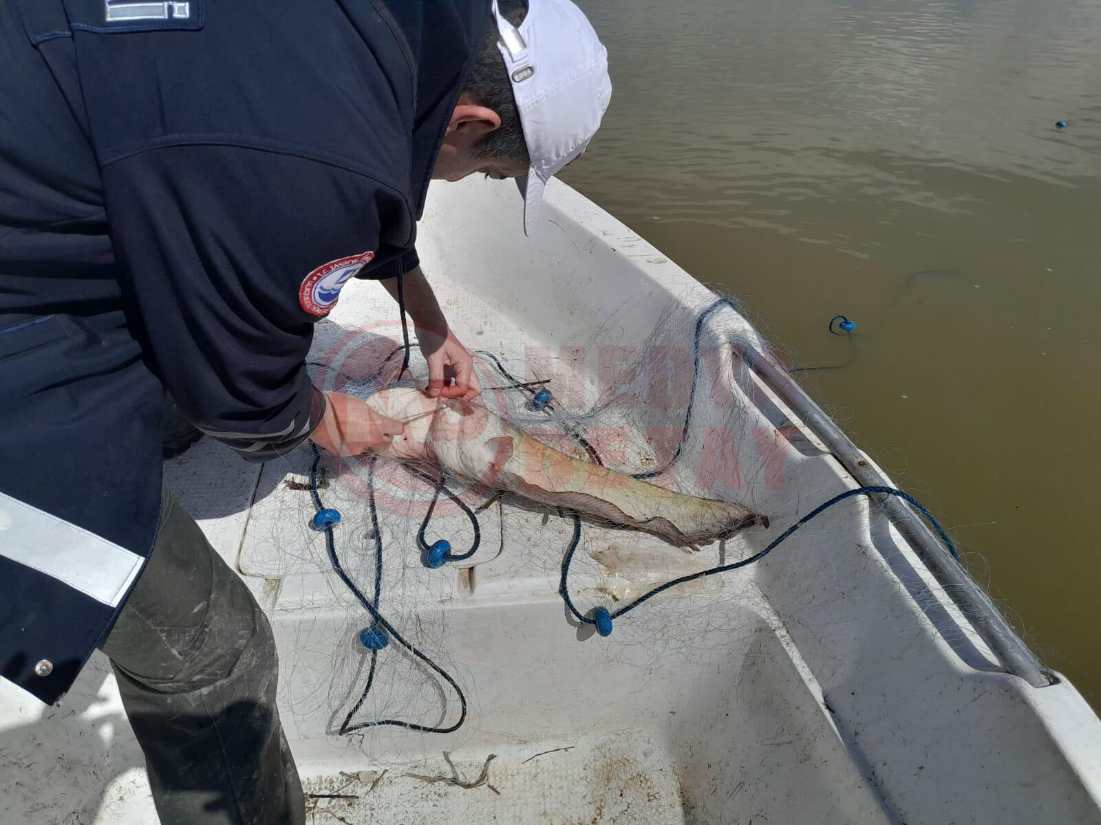 Whatsapp Image 2026 04 03 At 09.32.00 (2)