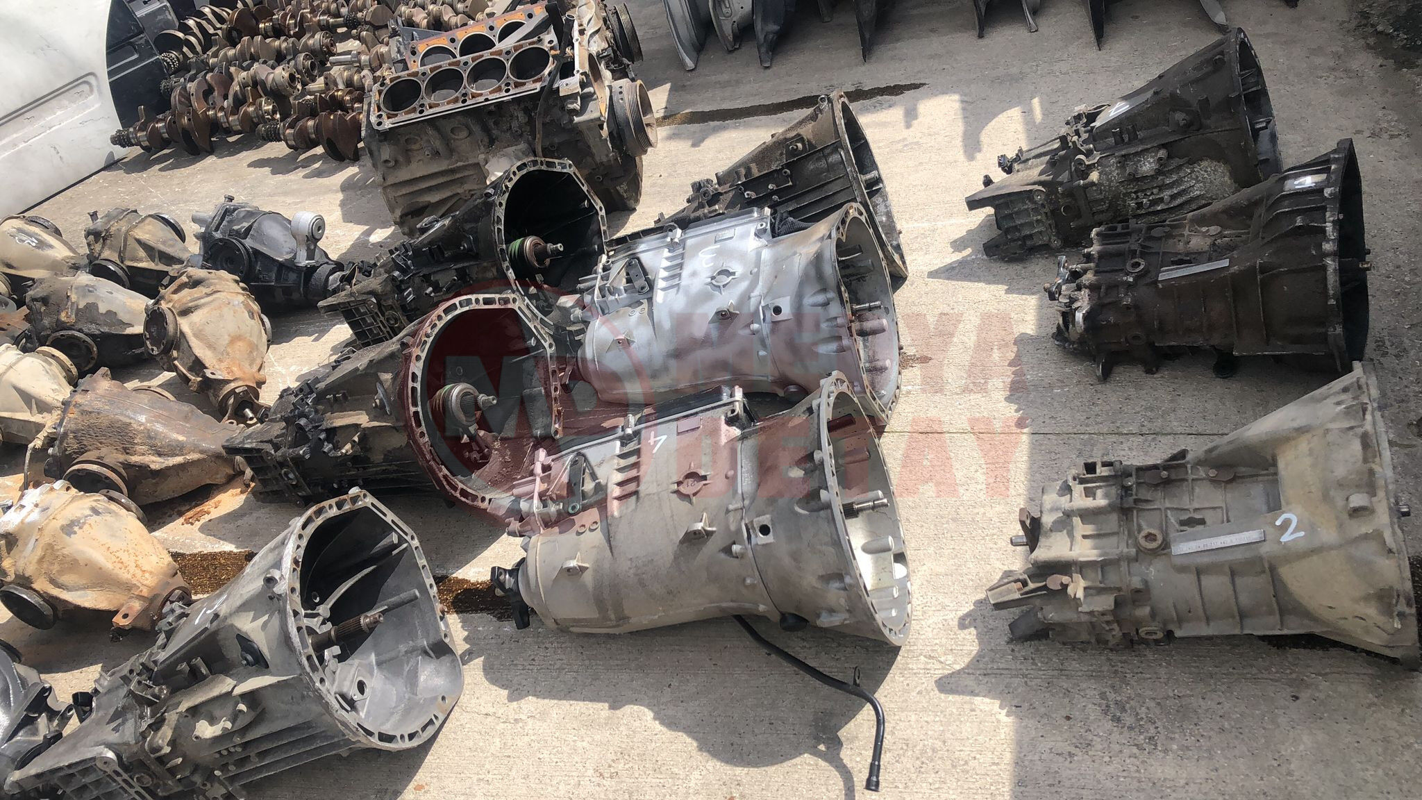 Whatsapp Image 2026 04 03 At 11.52.35 (1)