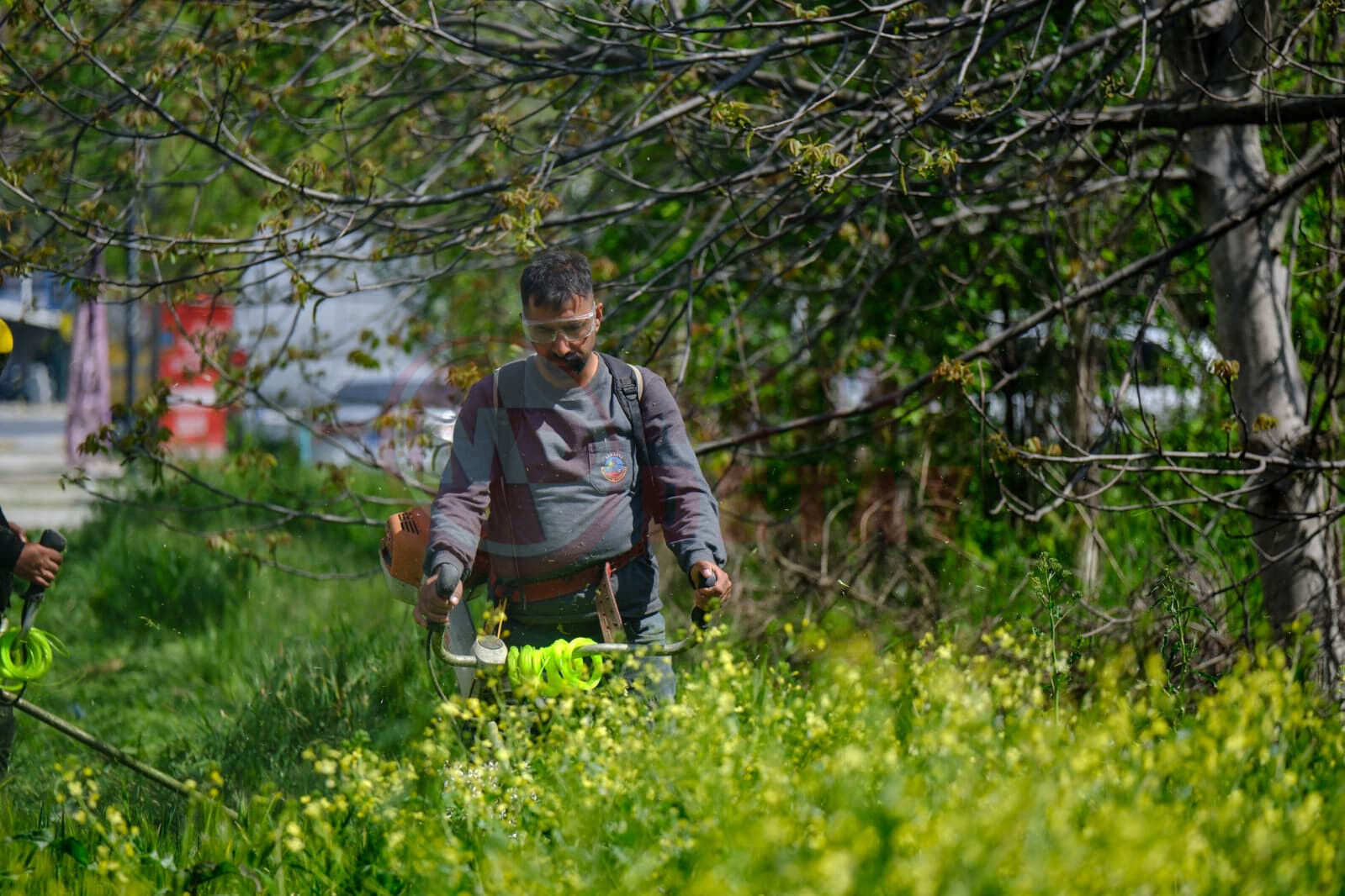 Whatsapp Image 2026 04 29 At 13.55.19