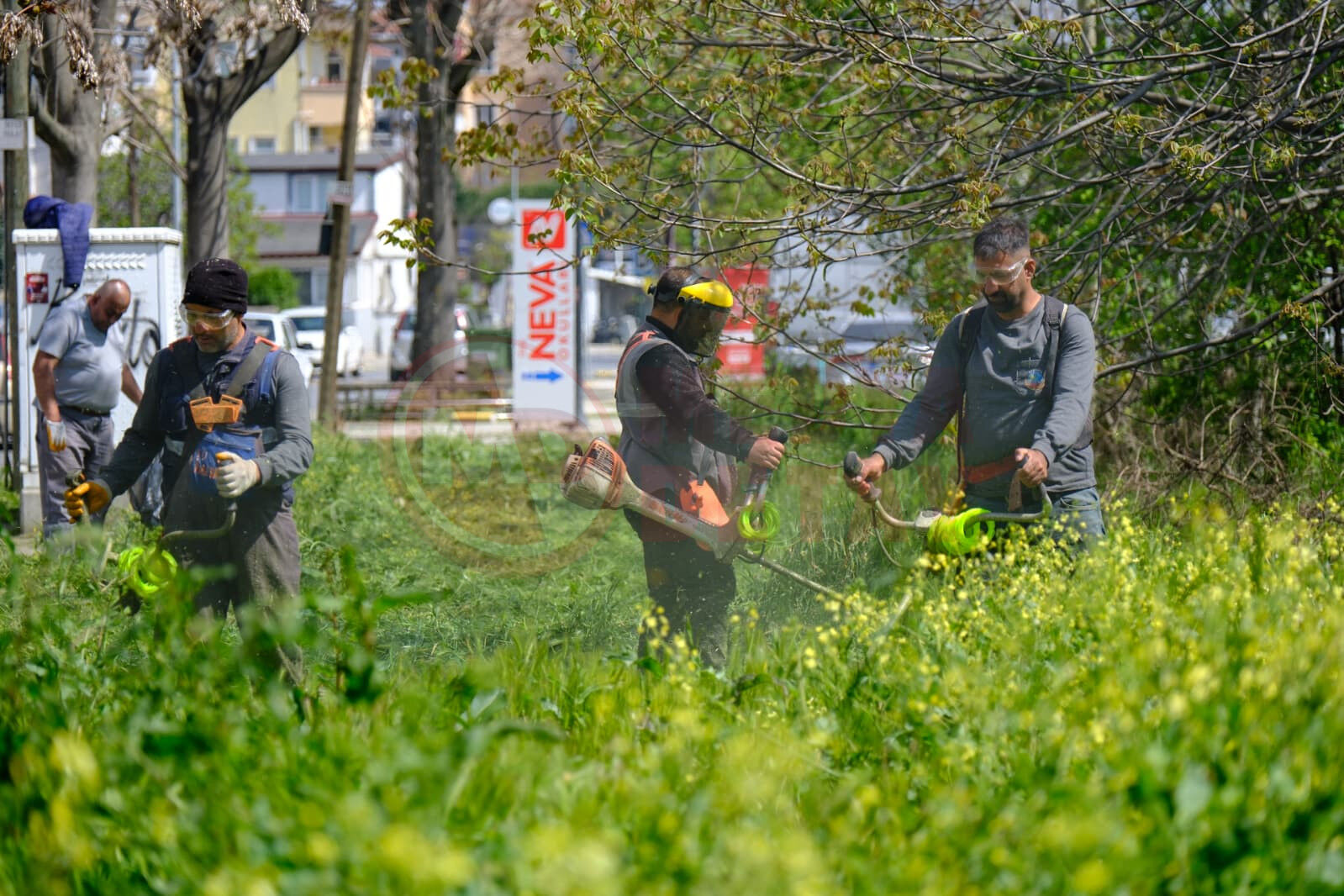 Whatsapp Image 2026 04 29 At 13.55.20 (2)