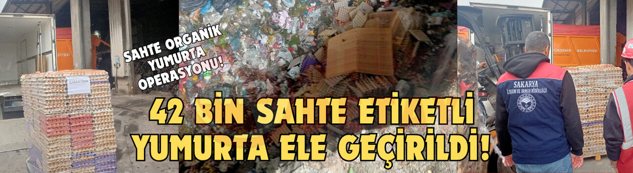 Sahte organik yumurta operasyonu!