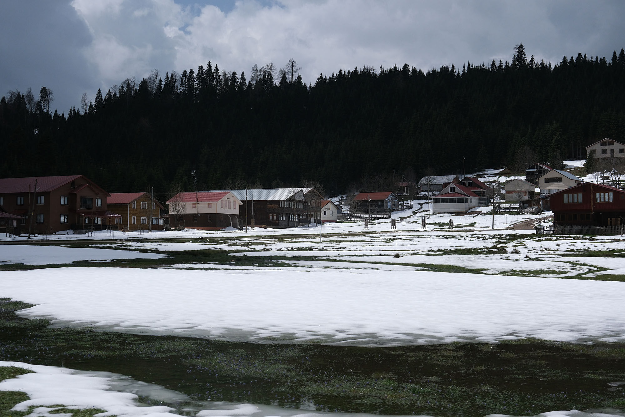 Doğa (10)-1