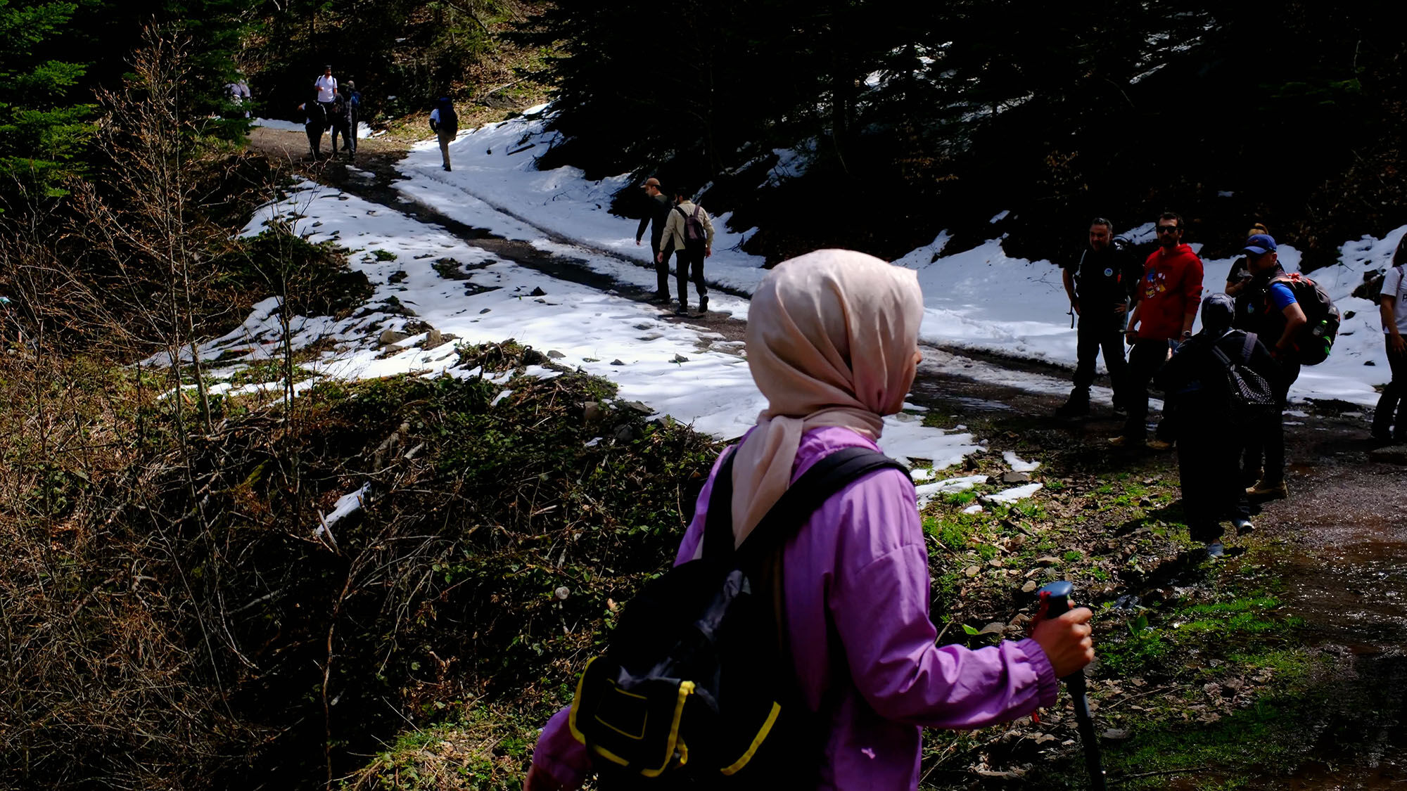Doğa (11)-2