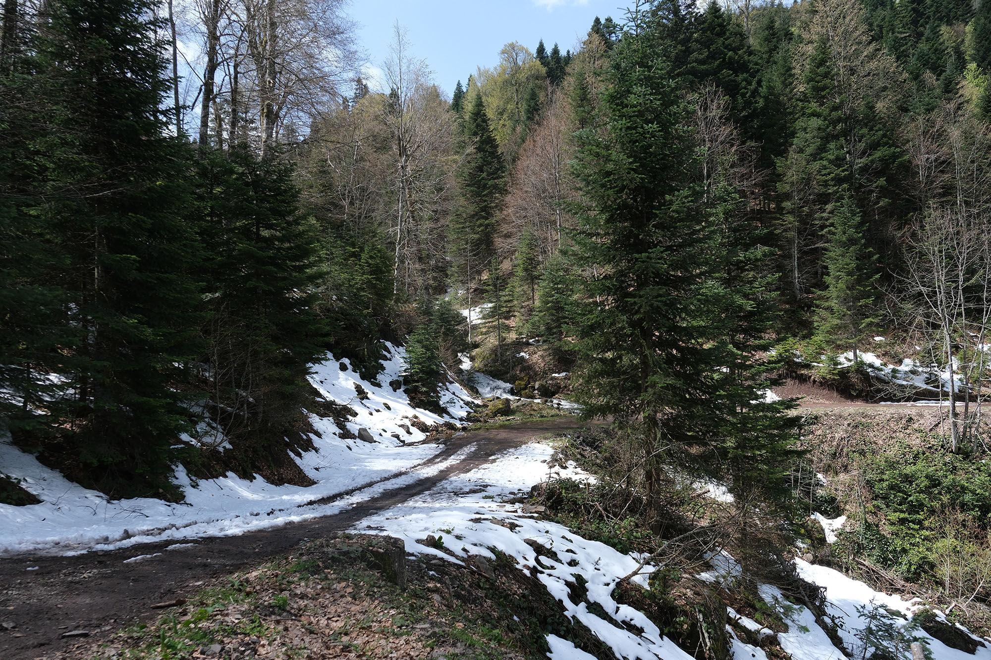 Doğa (14)