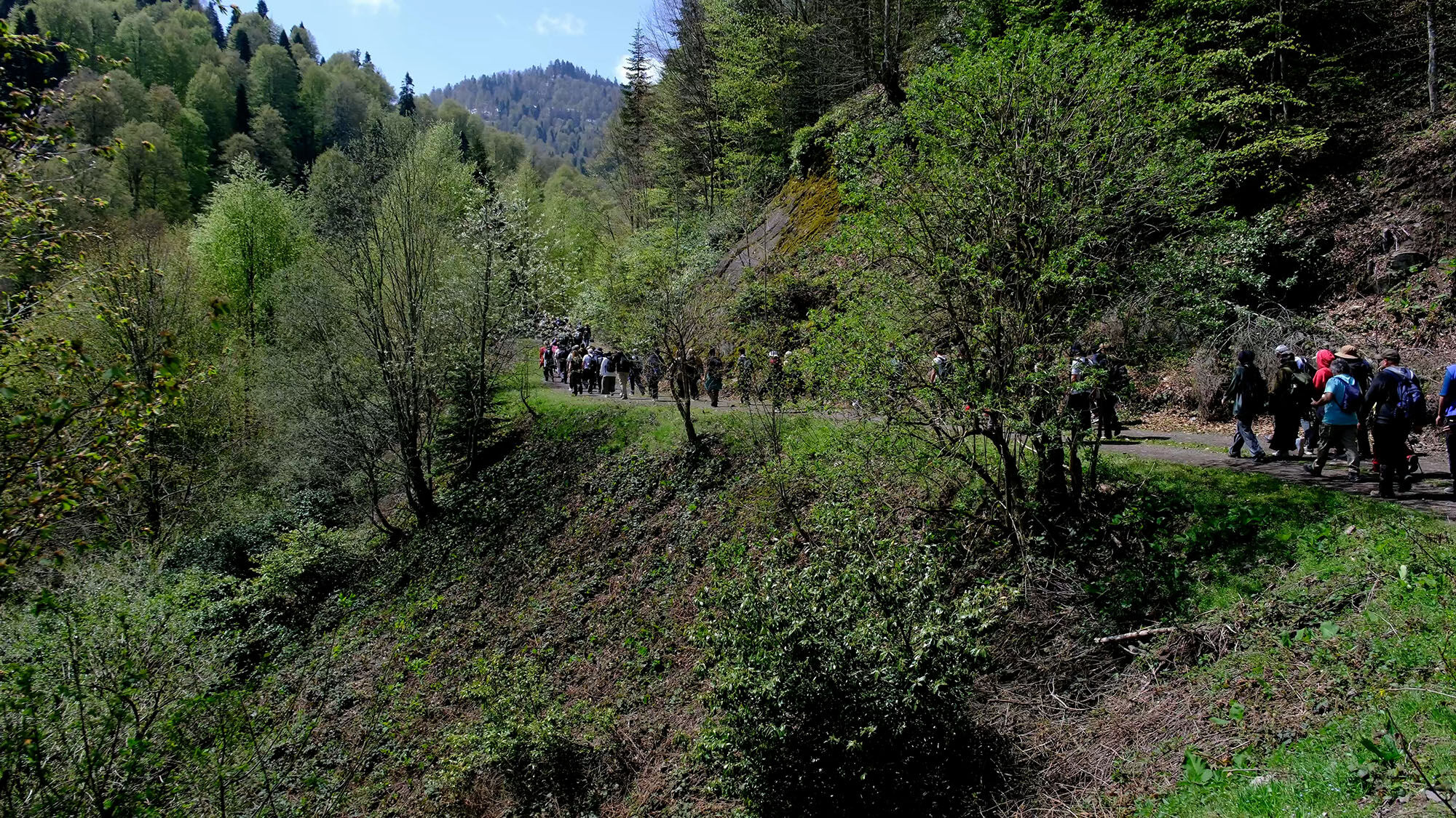 Doğa (15)