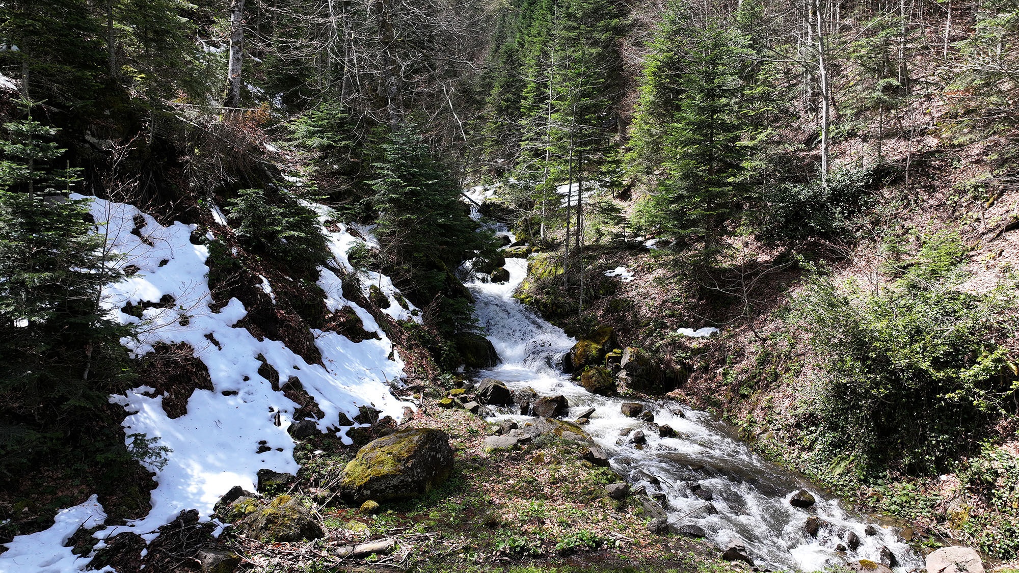 Doğa (3)-8