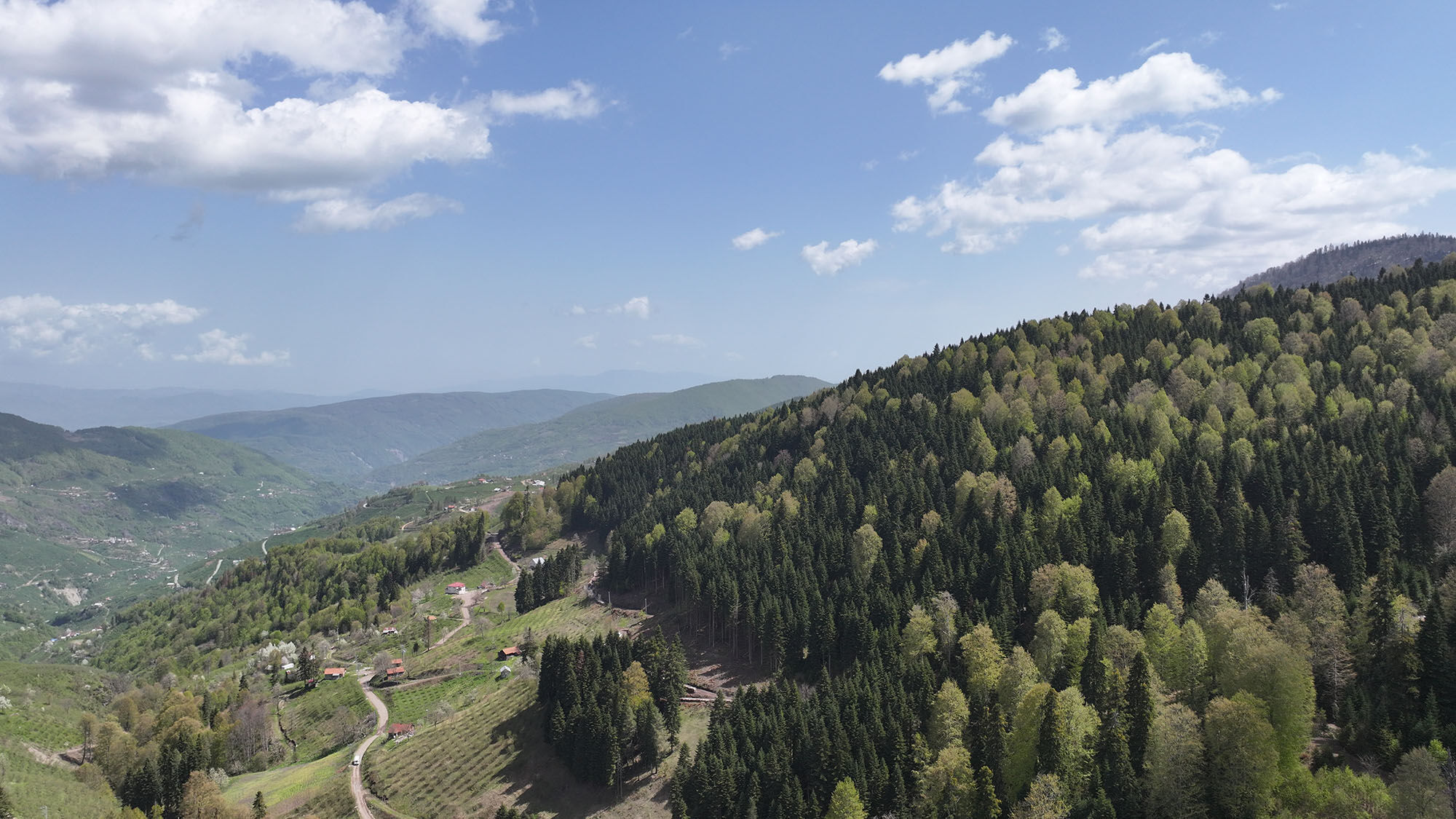 Doğa (5)-6