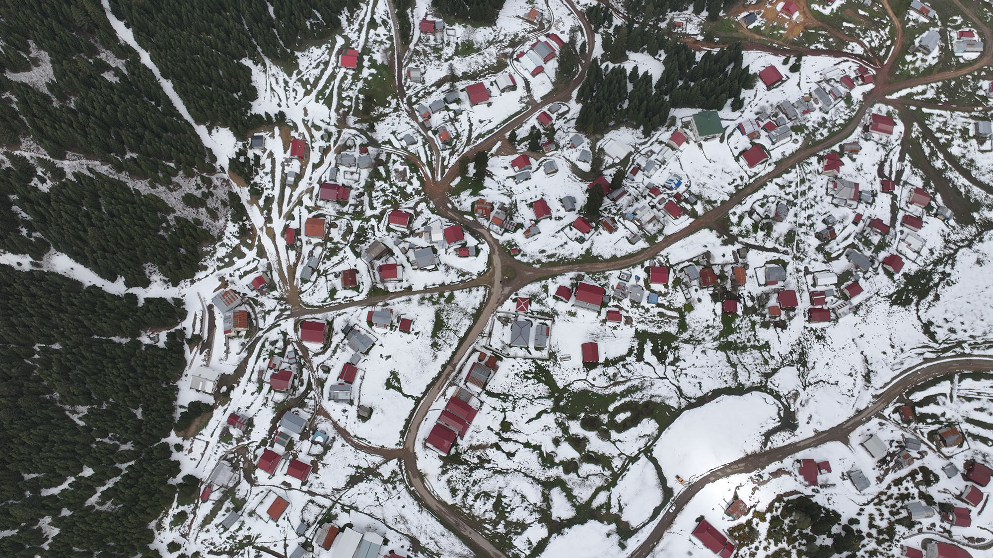 Doğa (6)-5