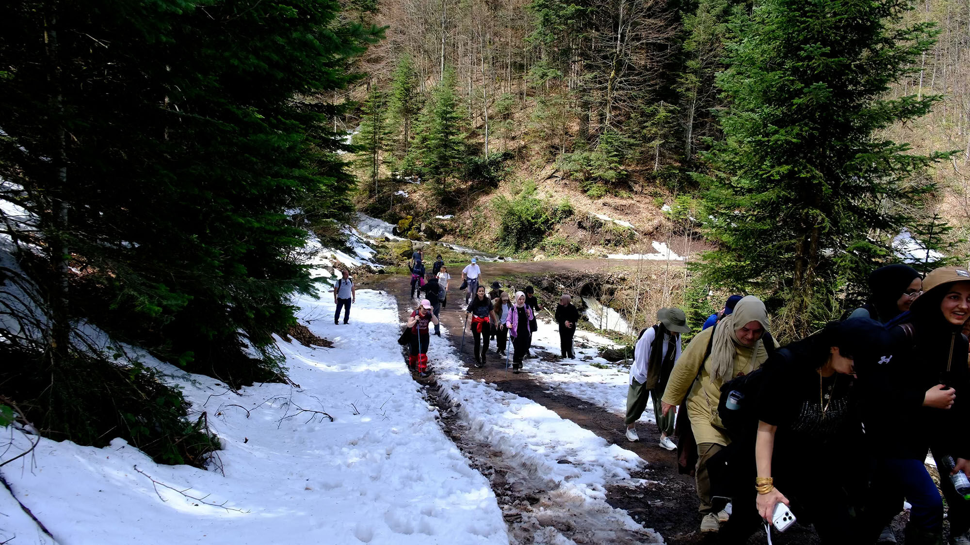 Doğa (7)-3