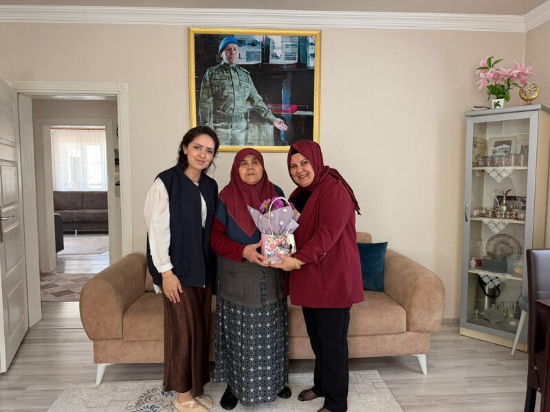 Srd Ziyaret2