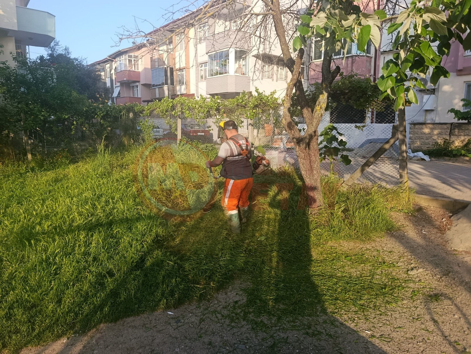 Whatsapp Image 2026 05 14 At 10.28.11 (3)