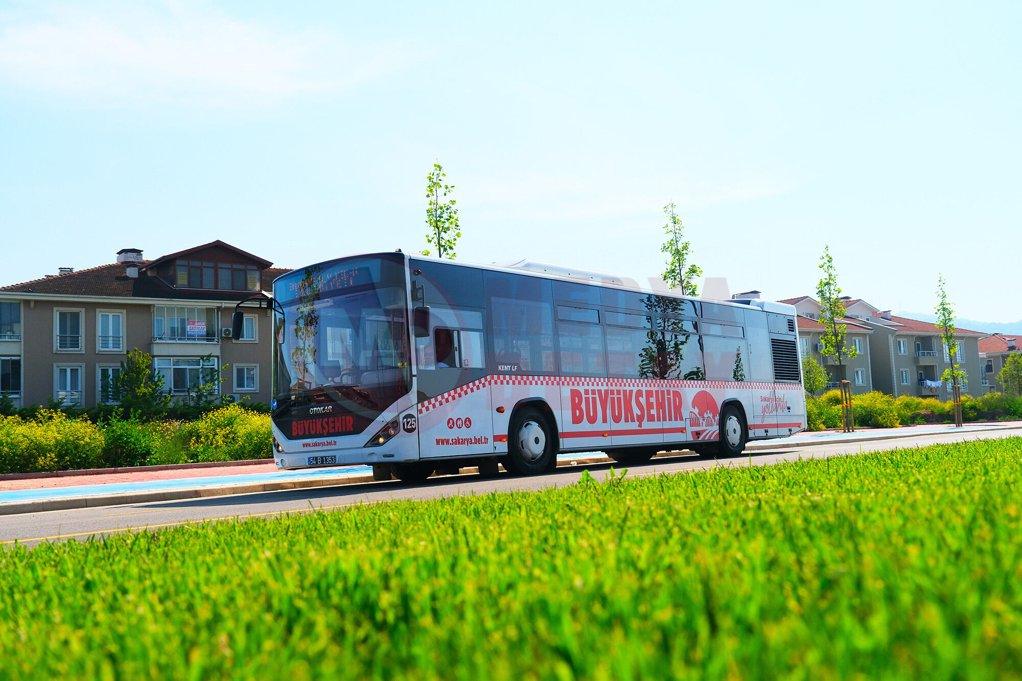 Yolcu (1)-1