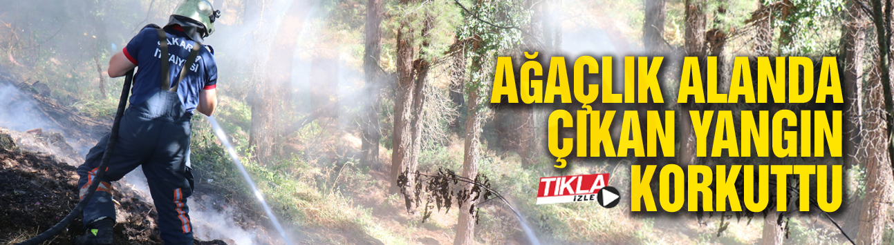 Ağaçlık alanda çıkan yangın korkuttu