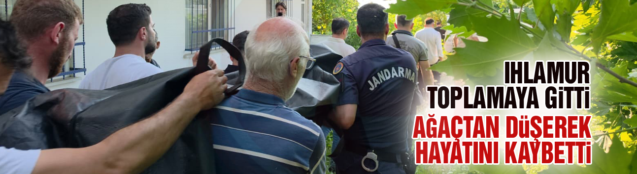Ağaçtan düşerek hayatını kaybetti
