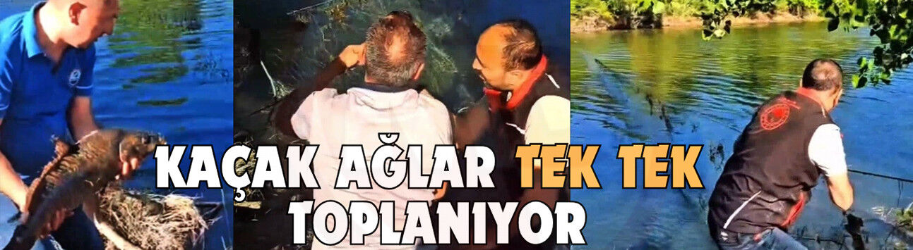 Sakarya'da nehir ve göletlerdeki kaçak ağlar tek tek toplanıyor