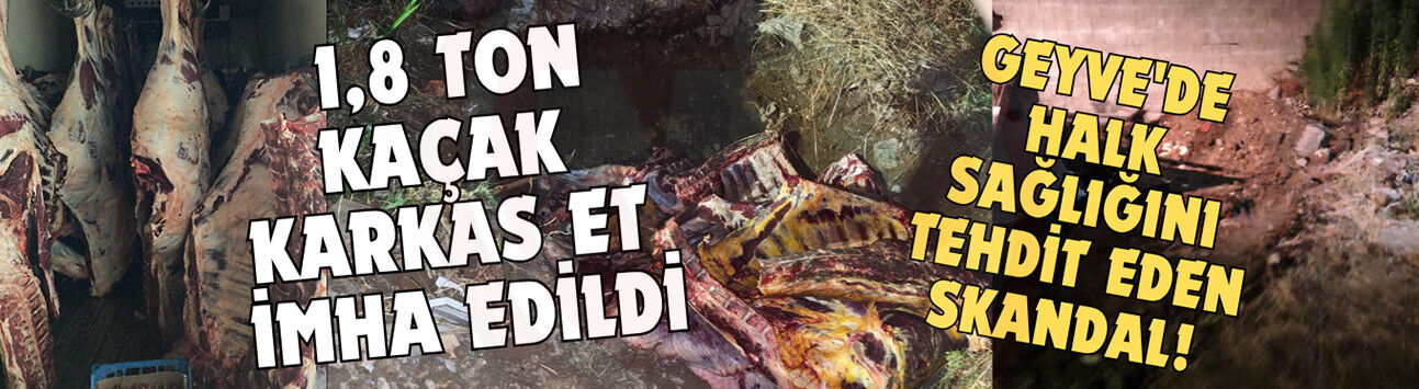 Geyve'de halk sağlığını tehdit eden skandal!