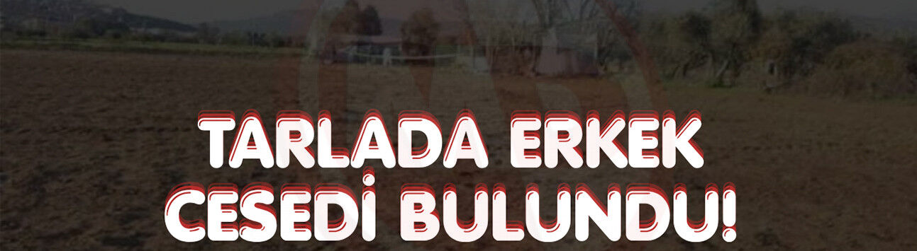 Adapazarı’nda tarlada erkek cesedi bulundu!