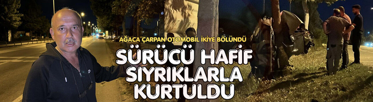 Ağaca çarpan otomobil ikiye bölündü