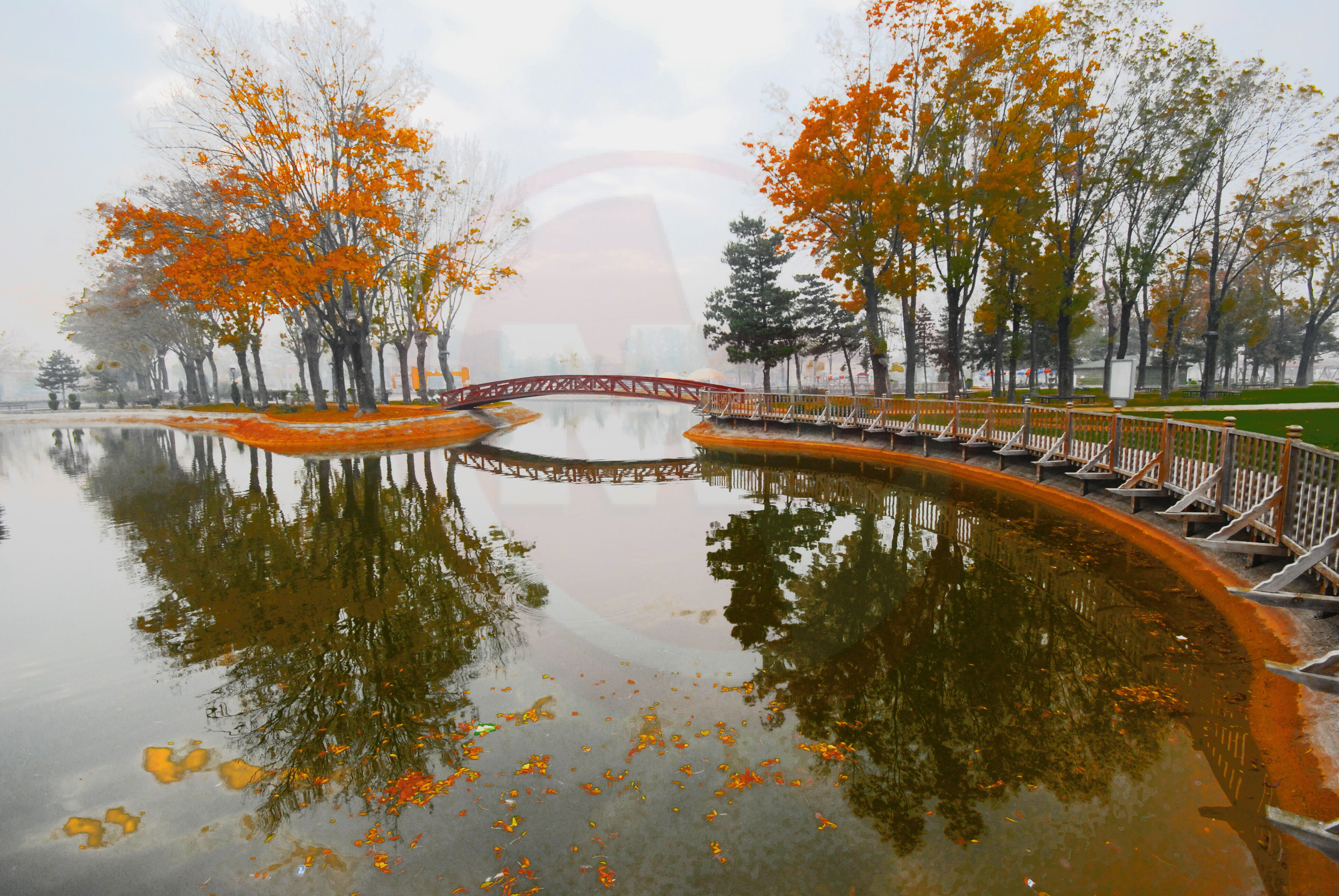 Şehir Parkı