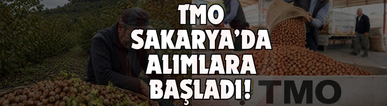 Fındık üreticisinin beklediği gün geldi!