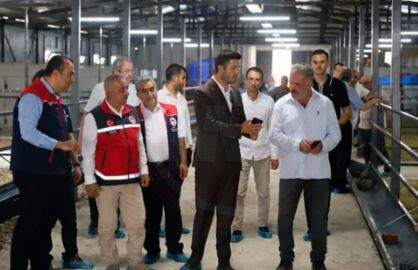 Tarim (3)-8