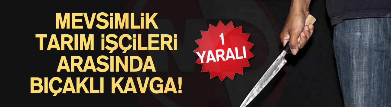 Mevsimlik tarım işçileri arasında bıçaklı kavga!