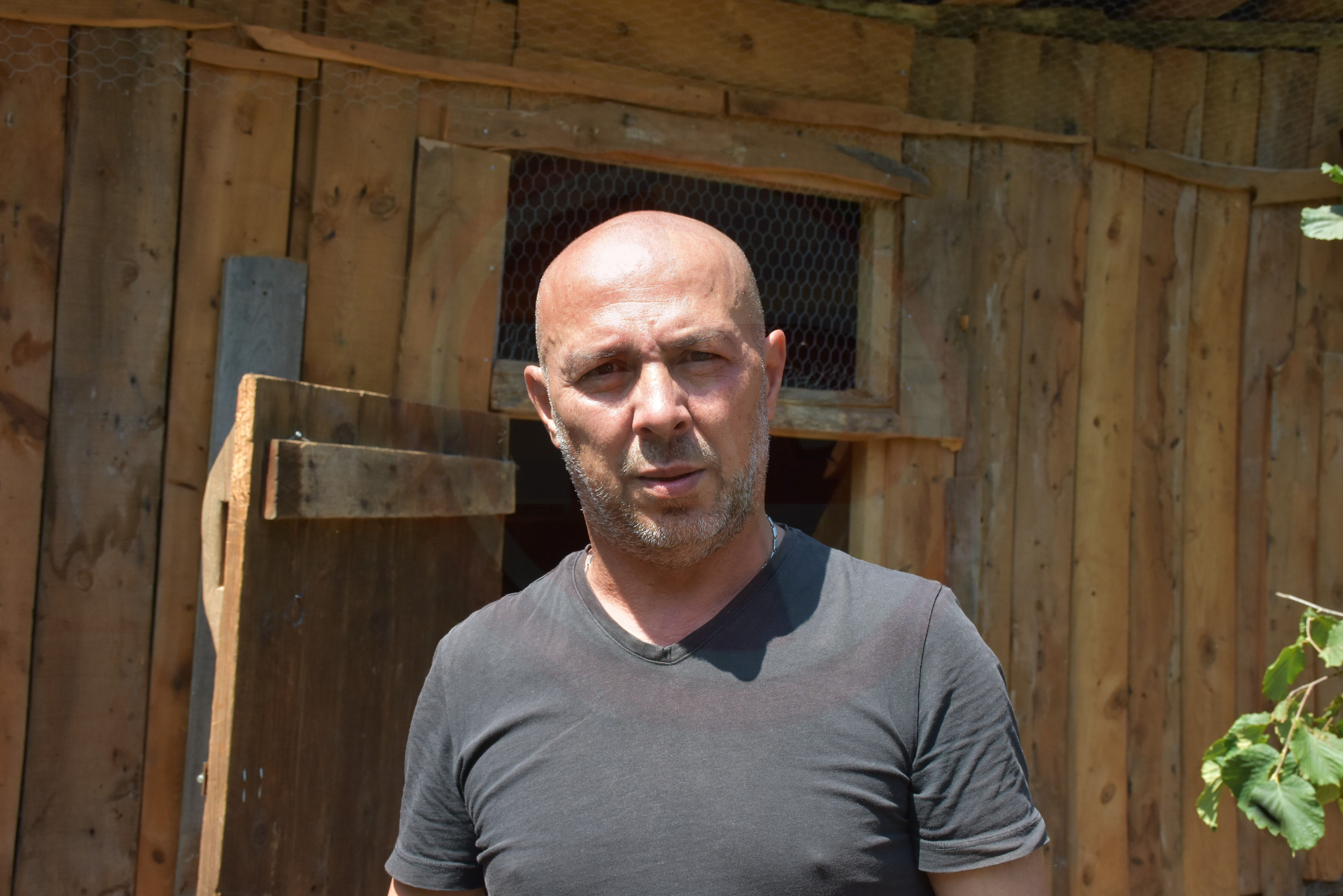 Tavuk (1)-1